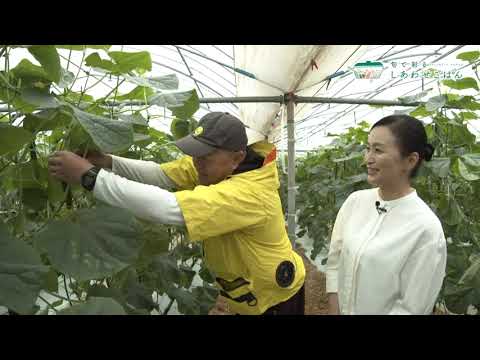 2025年11月28日(金)放送 きゅうり生産者の声