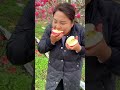 Beautiful And Fresh Apple Amazing Pink Apple Farm