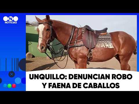 Unquillo: Denuncian robo y faena de caballos