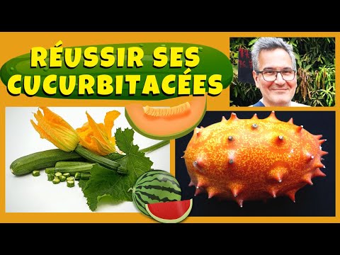 , title : 'Courgettes, concombres, melons : comment éviter l'hybridation des cucurbitacées ?'