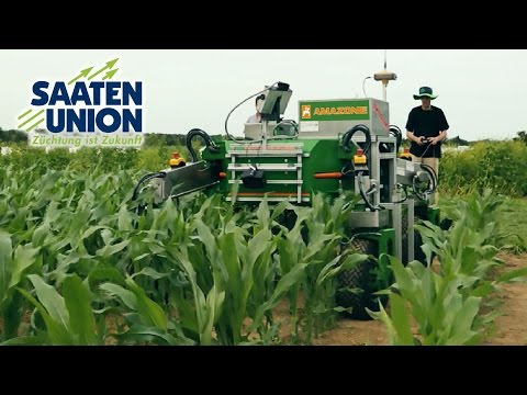 Wir sind die Saaten-Union – Franz-Xaver Zellner