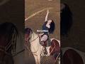 Hot Model Ramp With Horse Beutifull Glamour Hotvideo Viral