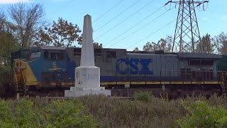 preview picture of video 'CSX Tropicana Train Past Thomas Viaduct Obelisk'