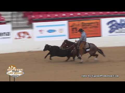 Playguns N Sparks Dr ridden by Todd Fitch  - 2018 NRCHA Stallion Stakes (Cow Work-Open Bridle Spec)