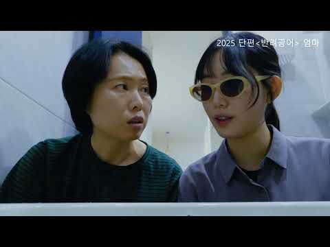 비디오 13