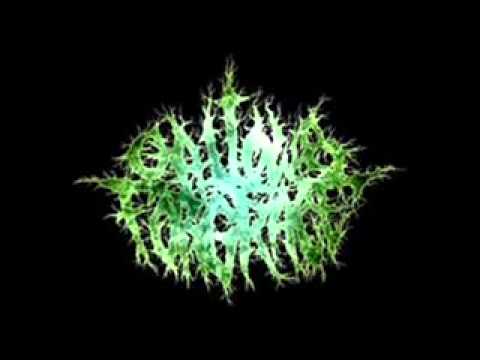 Gallows For Grace-Splinters Of Existence(2010)