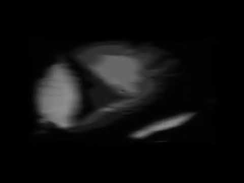 Transomia69Hz feat Popiel