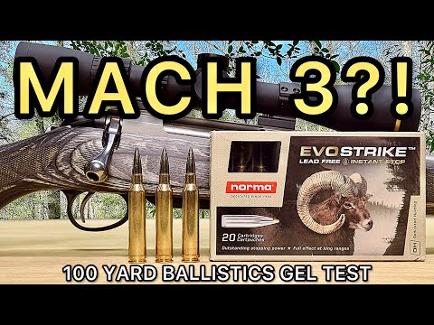 7mm Remington Magnum Norma EvoStrike Ballistics Gel Ammo Test