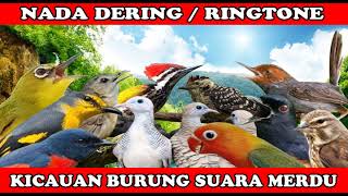 Download lagu NADA DERING||RINGTONE SUARA BURUNG MERDU BANGET NADA DERING JERNIH KUTILANG SUPER GACOR mp3