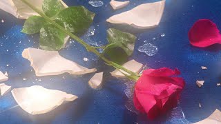 Tocard Lyrics English Translation