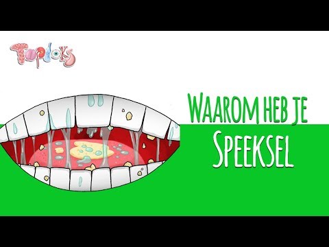 WAAROM HEB JE SPEEKSEL?! - TOPDOKS ANIMATIE