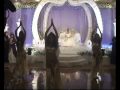 Belly Dance Guest Performer For Wedding