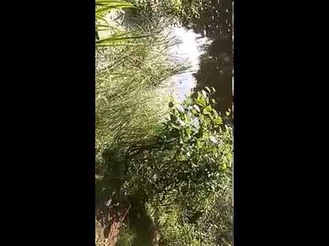 szwagry na rybach cz 2