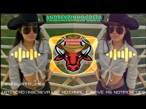 FORROZÃO RAIZ - NOVA EDIÇÃO DE SETEMBRO 2024 - SÓ FORROZÃO CAIPIRA ((ANDREYZINHO COSTA))