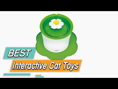 Top 5 Best Interactive Cat Toys Review in 2022