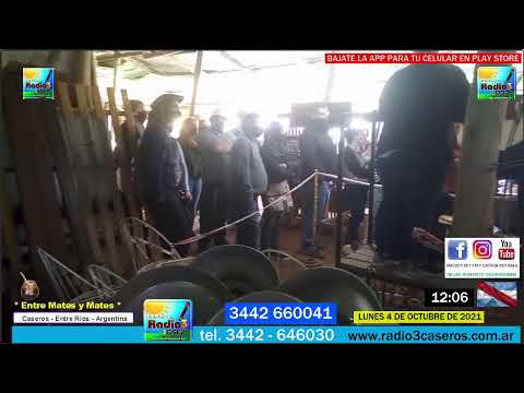 PROGRAMA RADIAL : ENTRE MATES Y MATES