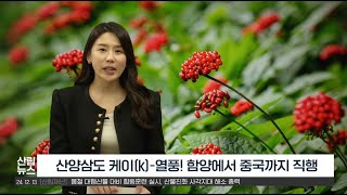 [12월 산림뉴스] 산양삼도 케이k 열풍 함양에서 중구…