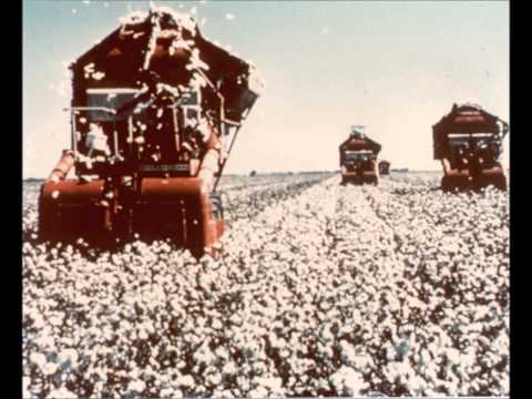 Images of Earth on the Voyager Golden Record