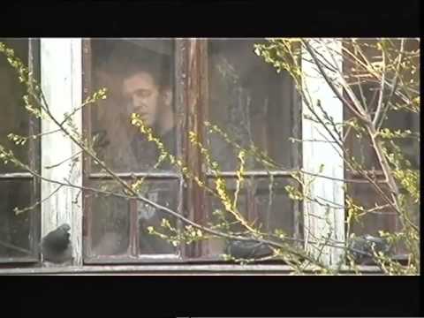 Zlatana Fazlic Fazla - Svi Smo Negdje Tu