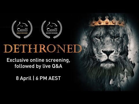 Dethroned 🦁 - A Powerful Film about the Majestic Big Cats 🐅 | Coming to Australia on April 8th