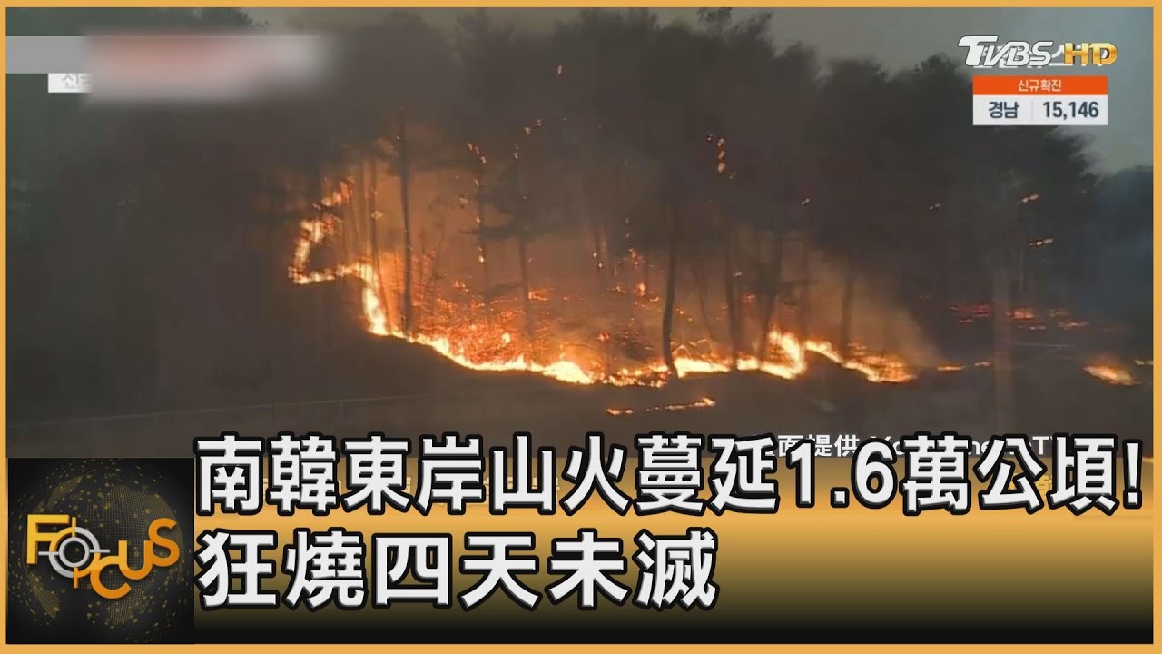 南韓東岸山火蔓延1.6萬公頃!狂燒四天未滅
