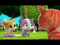 Disney Junior US SuperKitties Now Banner