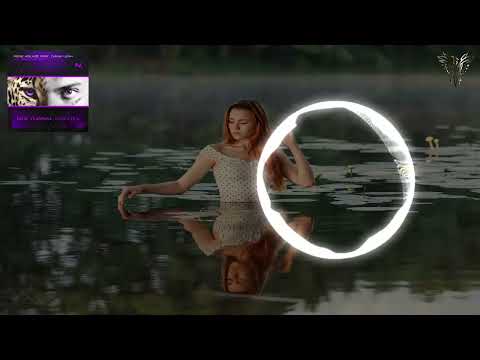 Rene Ablaze Feat. Diana Leah - I'll Find My Way (Extended Mix) [ Nocturnal Knights Music ]