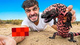 ‼️GILA CANAVARI Tarafından Isırıldım‼️ – En Kötü Sokmalar #18