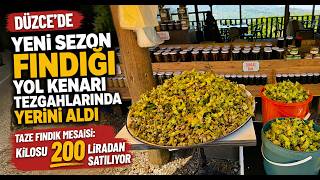Düzcede Yeni Sezon Fındığı Yol Kenarı Tezgahlarında Yerini Aldı