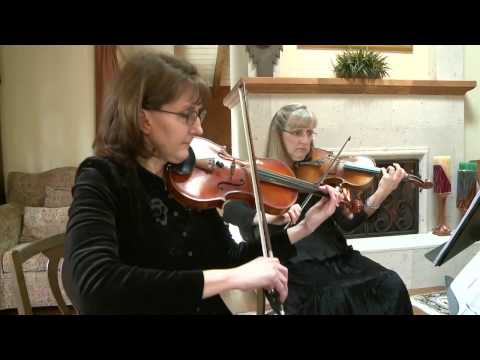 Allegro Quartet: Lorde "Royals" Cover