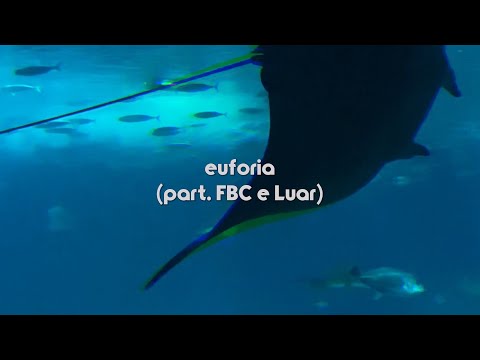 Bemti - Euforia (part. FBC e Luar) (visualizer / lyric video)
