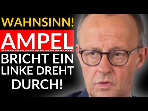 🚨WAHNSINN! LINKE DREHEN DURCH - SPD VERLIERT FASSUNG!🚨