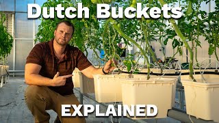Thumbnail for video: Everything you need to know about DUTCH BUCKET HYDROPONICS!