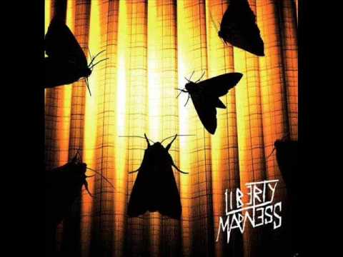 Liberty Madness - Sonic Thrash