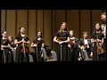 Anderson - Fiddle Faddle (TMEA / Plano West Chamber Orchestra)
