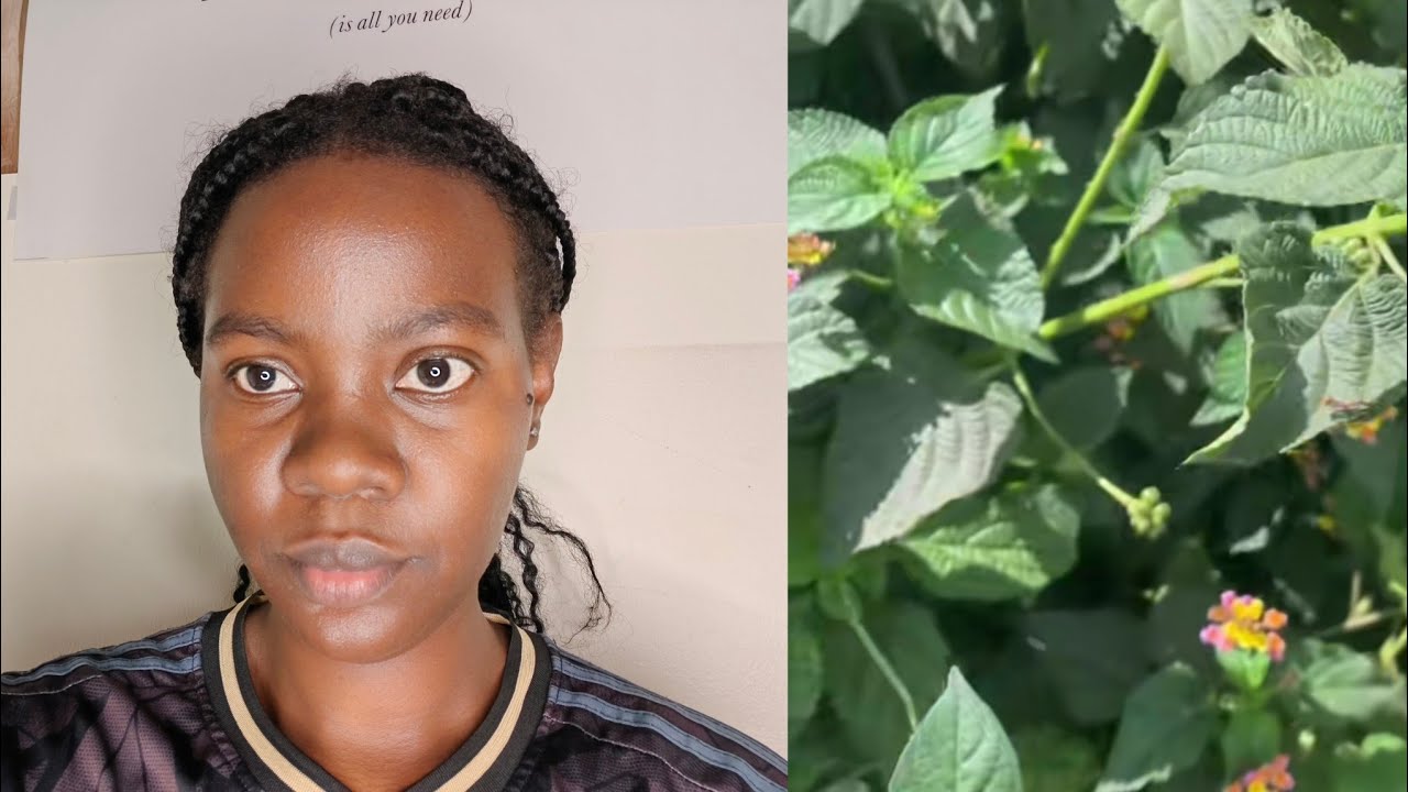 Edagala elilega emisiwa omukira nga tegugwa 
