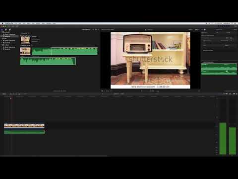 Circle Audio Effect on Final Cut Pro with Hailie