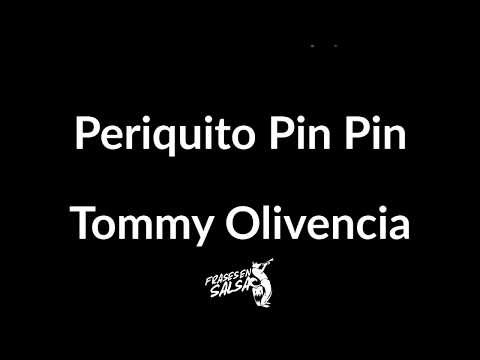 Periquito pin pin letra | Tommy Olivencia | Hector Tricoche (Frases en Salsa)