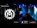 DichlorForce - Collapsar
