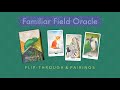 Familiar Field Oracle 🦎 Silent Flip-through and Pairing Ideas 🐞🤍