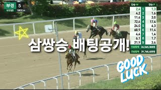 [경마] 삼쌍승식 배팅공개!