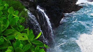 Kauai Waterfall on Ocean Waves | Hawaiian Water Sounds for Sleep & Relaxation