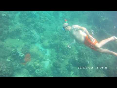 Snorkeling video Navy Island Trincomalee Sri Lanka