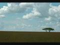 David Gilmour - A pocketful of stones