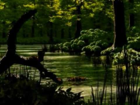 I Am In Need of Music by David L. Brunner