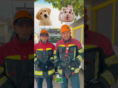 Alcaldía de Plato Magdalena