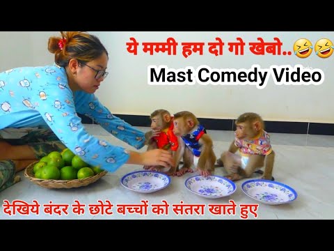 सब के मिलतो बाबू लाइन से बैठ जो||🤪Lallan ki Rani||