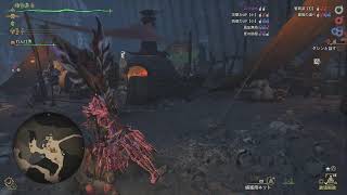 モンスターハンターワイルズ 自分のための記録配信03