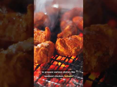 Exploring the Tandoor: Authentic Indian Cooking with Tandoori Chicken, Kebabs, and Naan