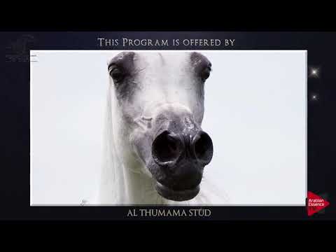 AJMAN 2018 - Auction pt.2